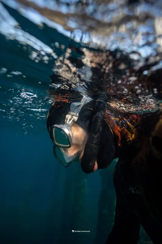 Freediving and underwater photography in Western Australia — photograph 07 by Harry Liu